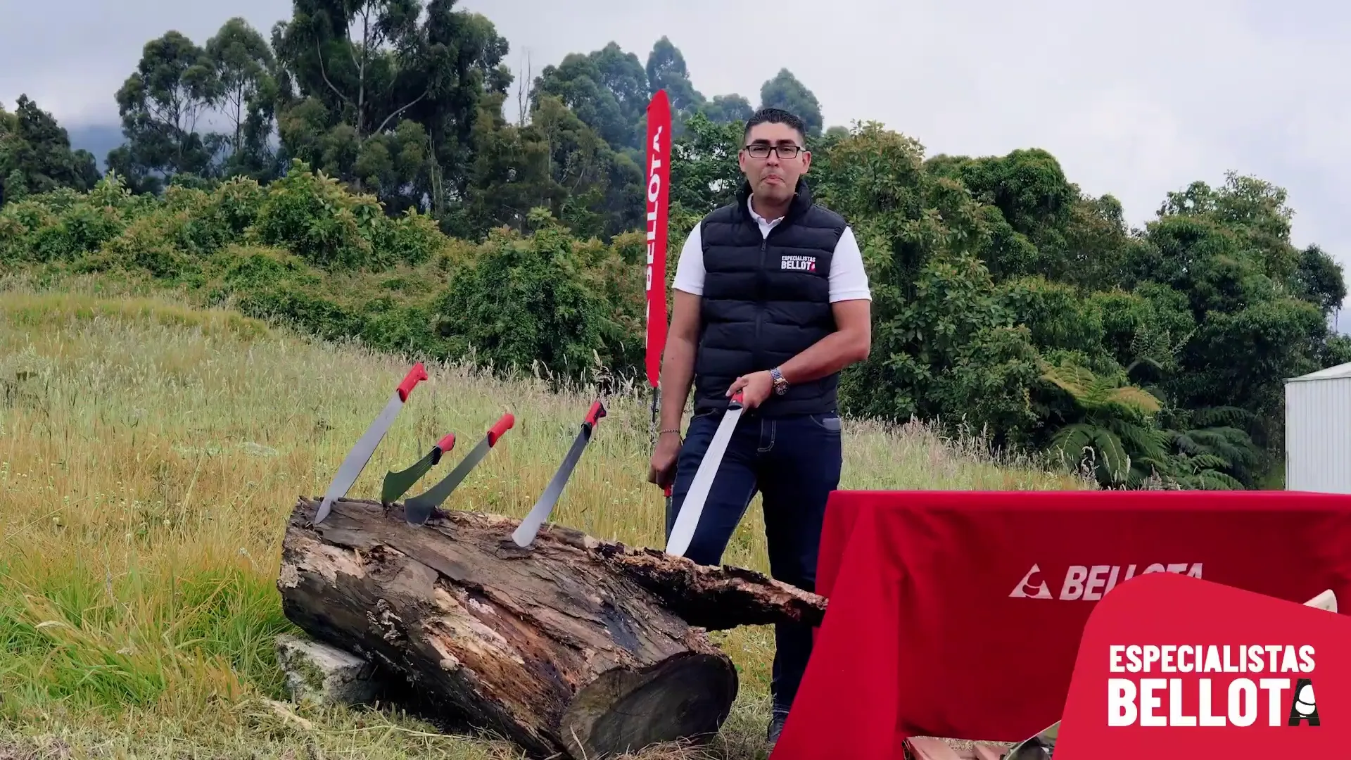 Afilando la Herramienta Agricola Tecnicas de Mantenimiento para Machetes