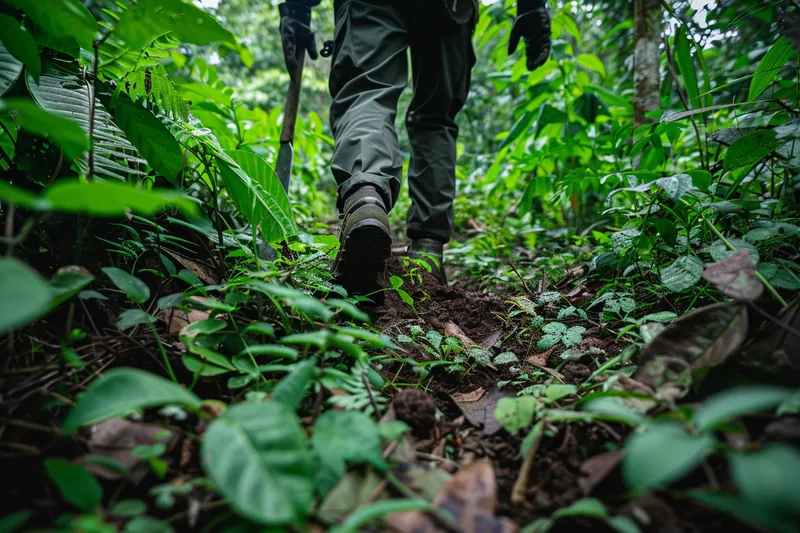 Machetes y Senderismo Preparando Caminos para la Aventura