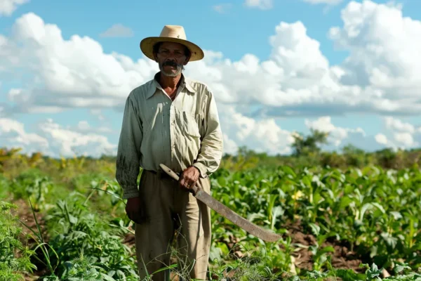 Manejo del Machete en Agricultura Adaptacion a Cambios Climaticos