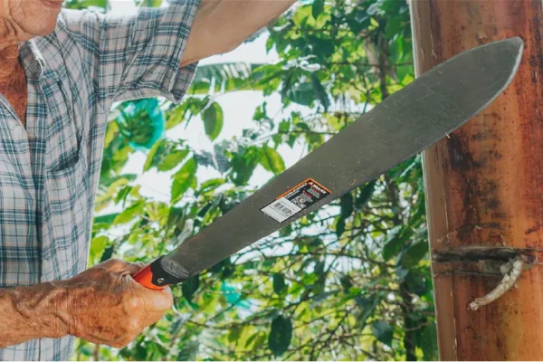 Tecnicas Avanzadas de Poda con Machete en Silvicultura