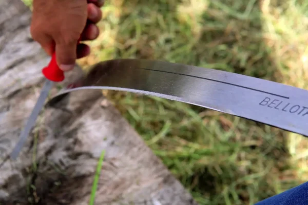 Uso Seguro del Machete en el Manejo de Cultivos Forestales