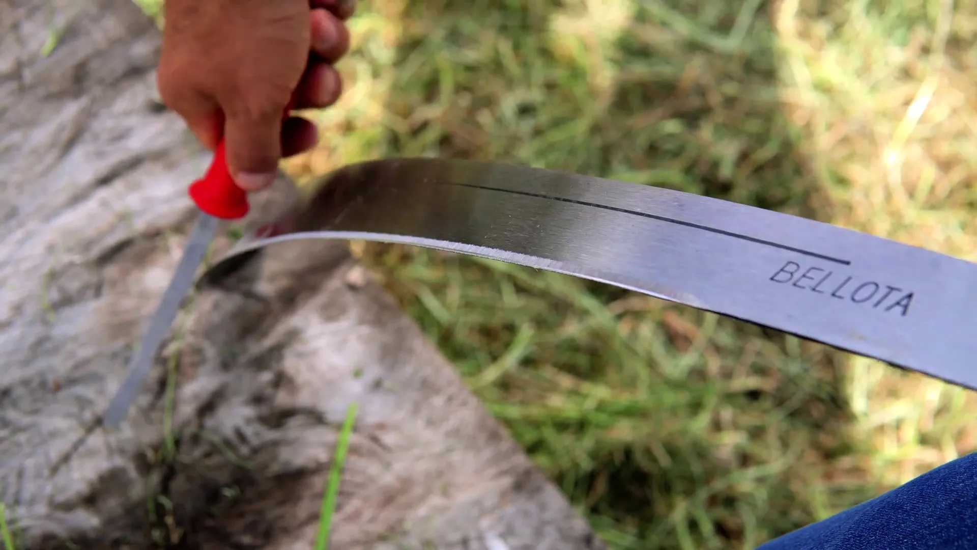 Uso Seguro del Machete en el Manejo de Cultivos Forestales